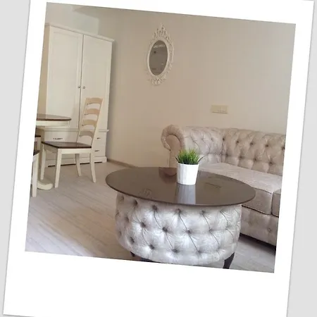Spot Greywhite Vilnius