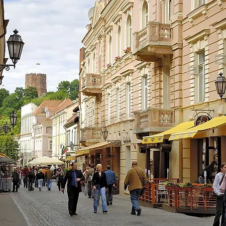 Spot Greywhite * Vilnius